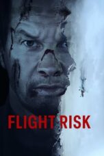 Nonton Drama Korea Flight Risk (2025) Subtitle Indonesia