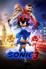 Nonton Drama Korea Sonic the Hedgehog 3 (2024) Subtitle Indonesia