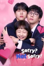 Nonton Drama Korea Sorry Not Sorry (2024) Subtitle Indonesia