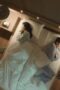 Nonton Drama Korea Queen of Tears Season 1 Episode 3 Subtitle Indonesia