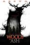 Nonton Drama Korea Woods of Ash (2025) Subtitle Indonesia