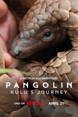 Nonton Drama Korea Pangolin: Kulu’s Journey (2025) Subtitle Indonesia