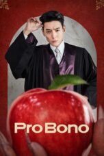 Nonton Drama Korea Pro Bono (2025) Subtitle Indonesia